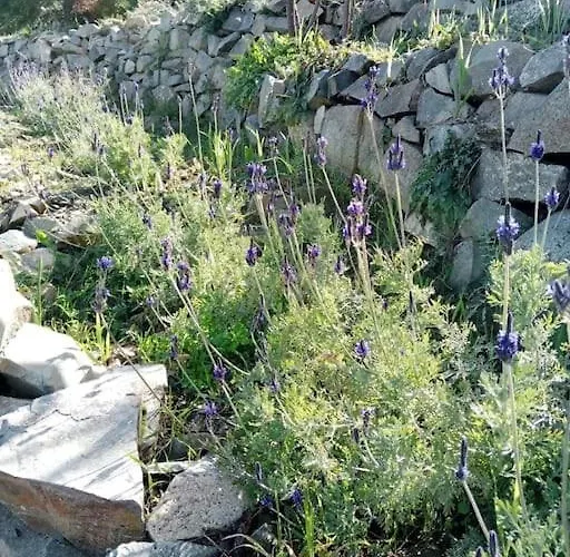 Prázdninový dům Serenity Mountain Askas